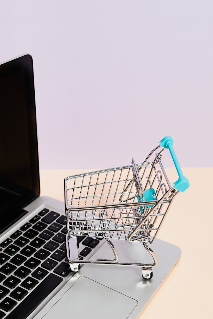services-03 Mini shopping cart on a laptop symbolizes online shopping and e-commerce themes.